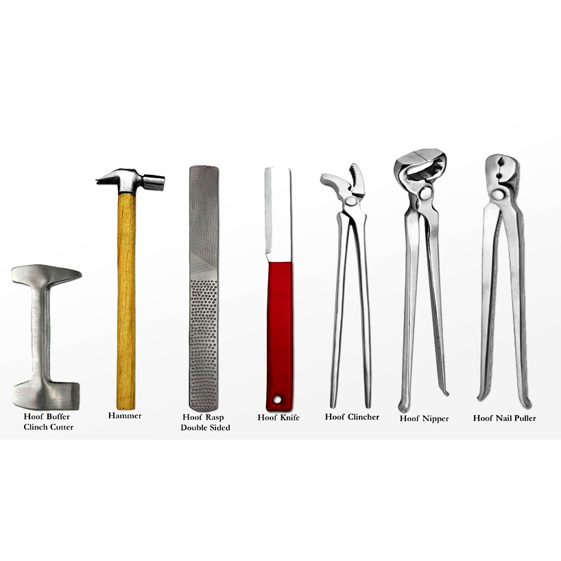 Veterinary Farrier Tools Set PD Surgical